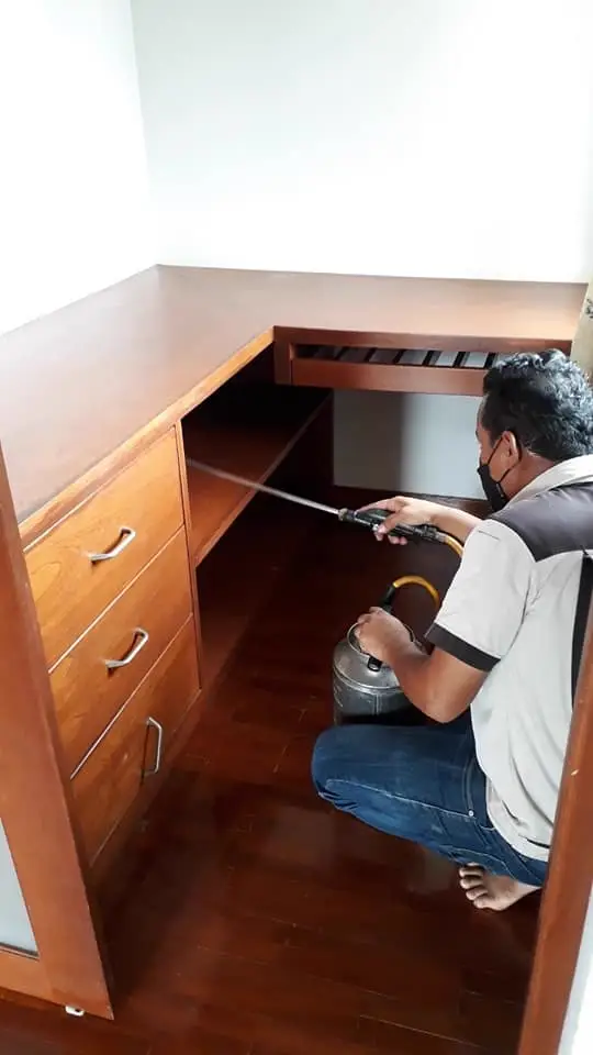 Clean kitchen interior showing safe pest control treatment areas
